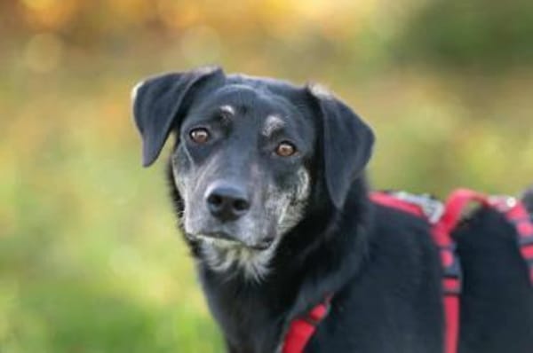 Sonia - ein Sonnenschein