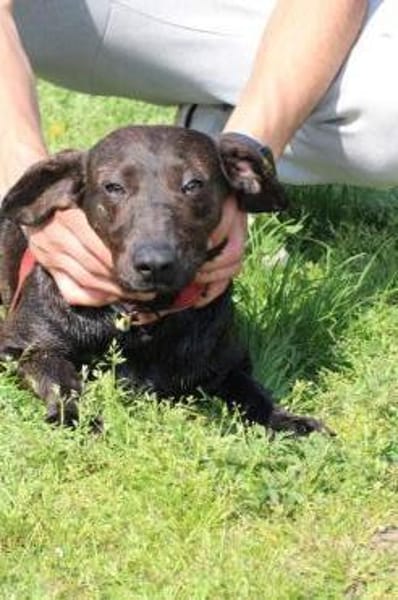 Elany - kinderlieb u. sehr verspielt