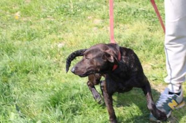 Elany - kinderlieb u. sehr verspielt