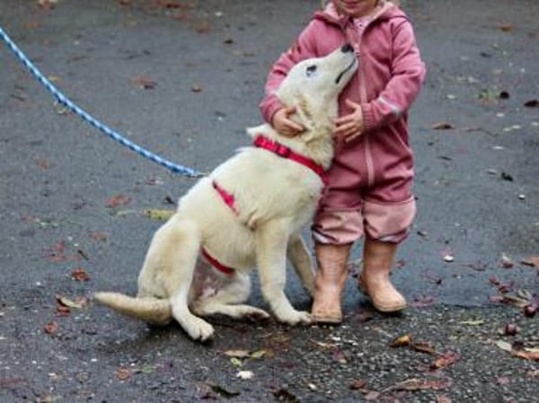Traumzuhause für Melograna gesucht