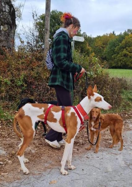 Casper sucht erfahrene Menschen