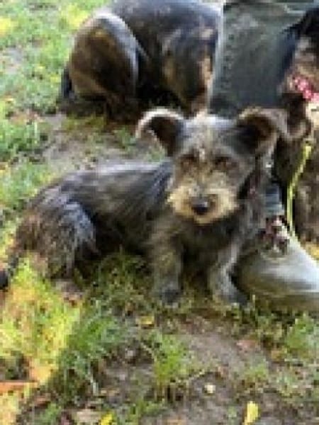 Ich heiße Flora... mit Video