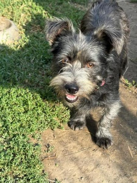 Ich heiße Flora... mit Video