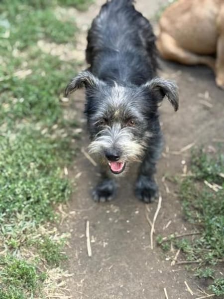 Ich heiße Flora... mit Video