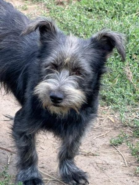 Ich heiße Flora... mit Video