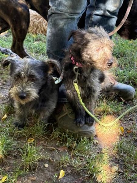 Ich heiße Flora... mit Video