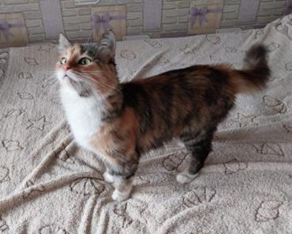 Eine Prinzessin sucht zu Hause