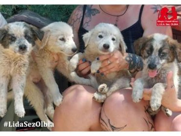 Maracuja hofft auf ihre Chance