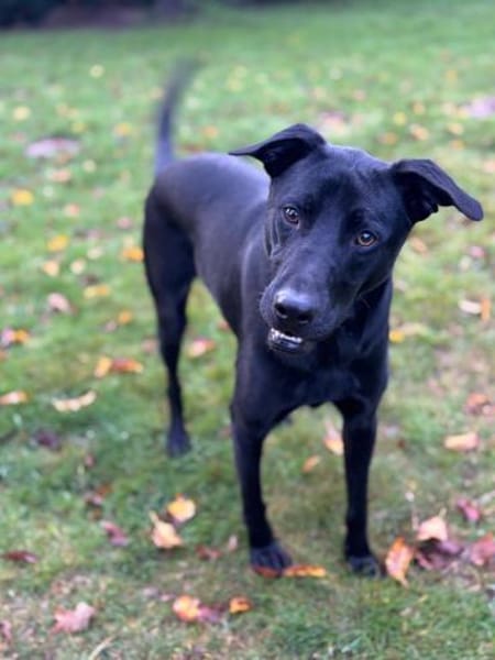 ❤ Sunny Pflegefamilie 41812 Erkelenz