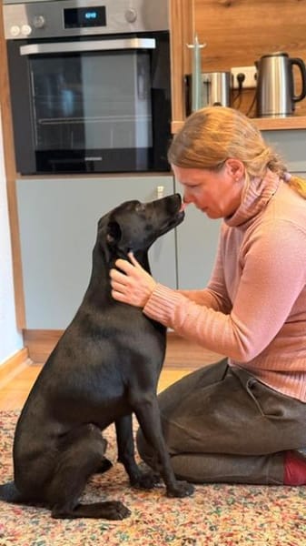 ❤ Sunny Pflegefamilie 41812 Erkelenz