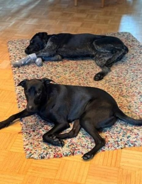 ❤ Sunny Pflegefamilie 41812 Erkelenz