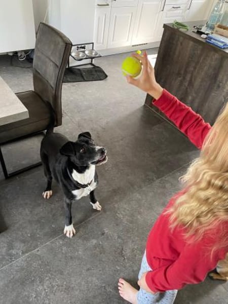 BLANCA ❤ Sonnenschein, Bochum