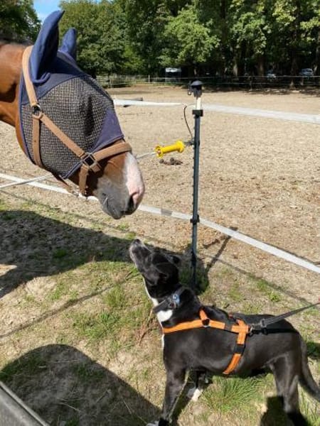 BLANCA ❤ Sonnenschein, Bochum
