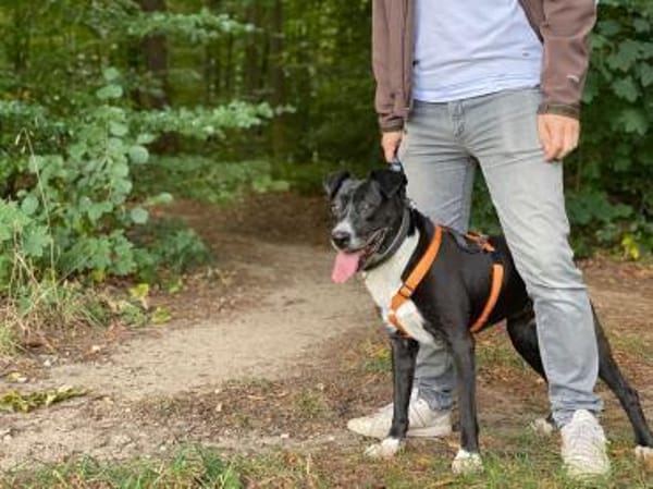 BLANCA ❤ Sonnenschein, Bochum