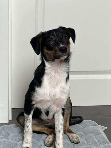 Glenni - Die Aufgeweckte