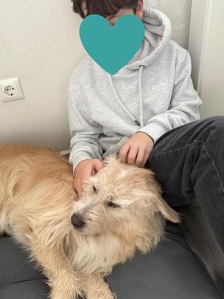 Floki ♥Pflegefamilie 41812 Erkelenz