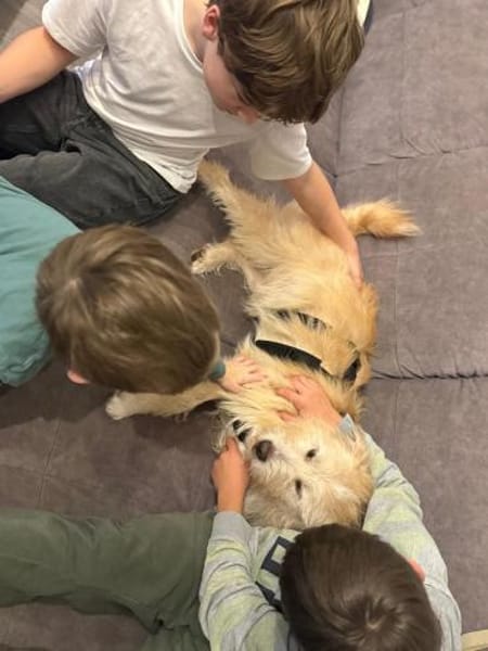 Floki ♥Pflegefamilie 41812 Erkelenz