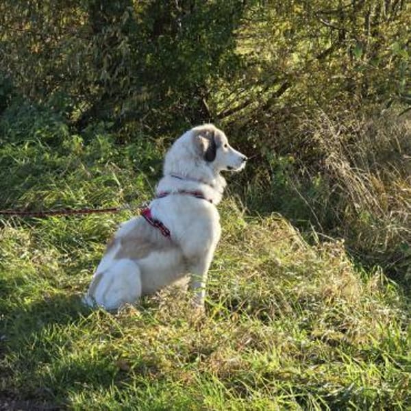 Wally, fröhlich, sehr sozial