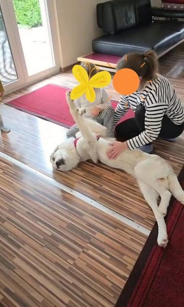 Wally, fröhlich, sehr sozial