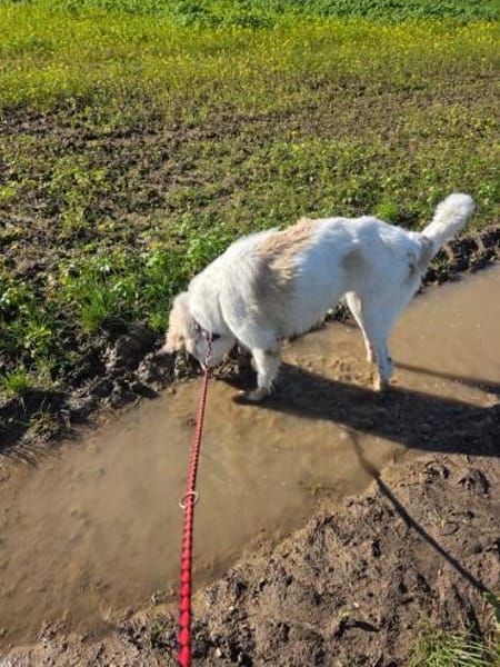 Wally, fröhlich, sehr sozial