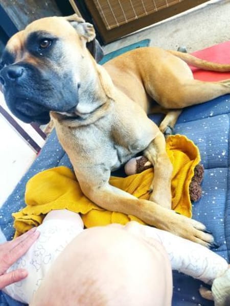 Süsse Willow menschenbezogen und lieb