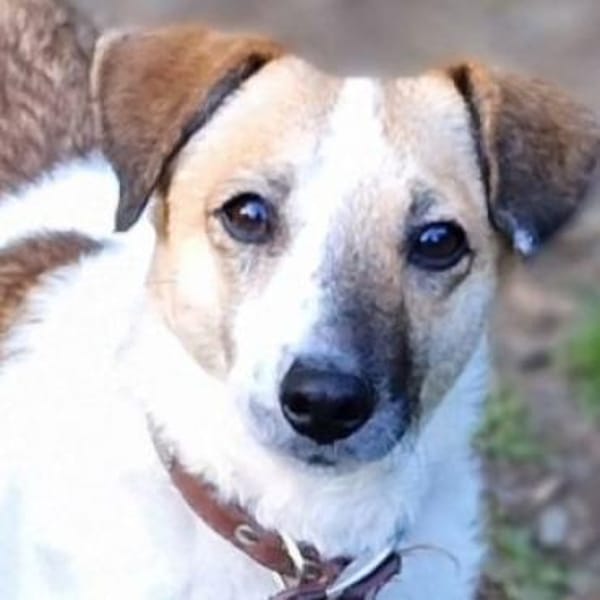 MIRKA sucht Zuneigung