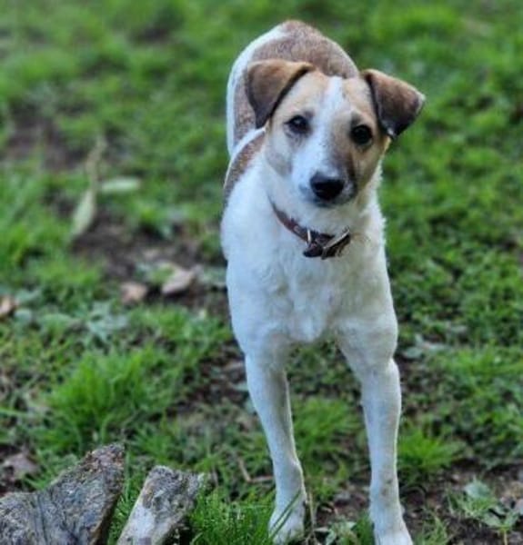 MIRKA sucht Zuneigung