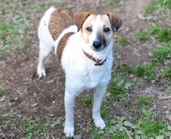 MIRKA sucht Zuneigung