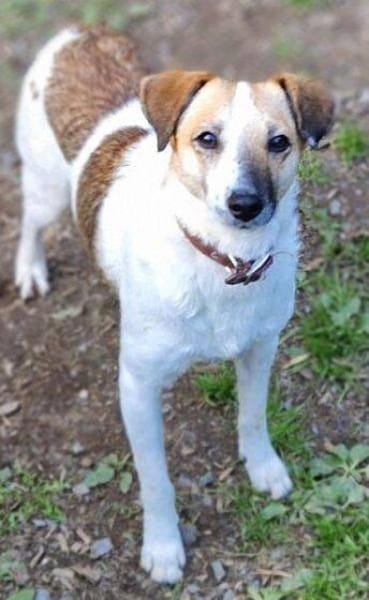 MIRKA sucht Zuneigung