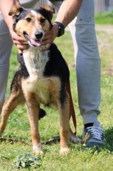 Jolene - unkompliziert u. zutraulich