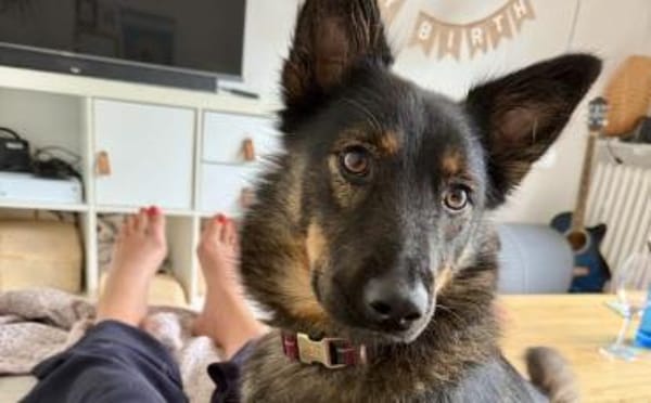 Haru sucht ihr Glück