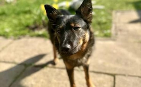 Haru sucht ihr Glück