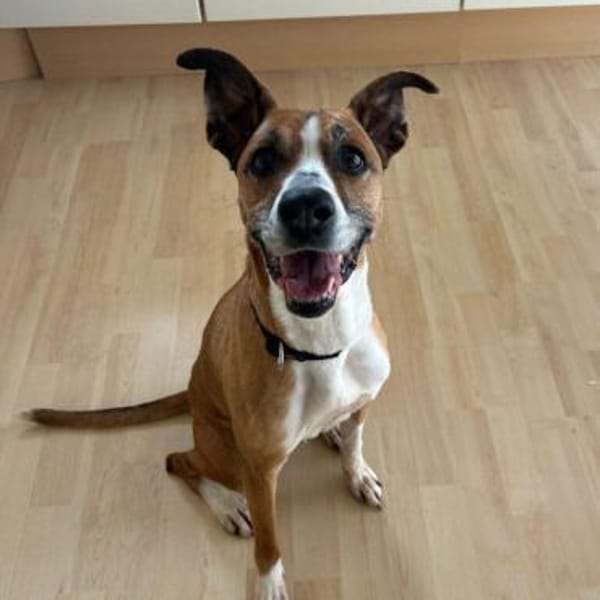 Süsse Rina -  sportlich und sensibel