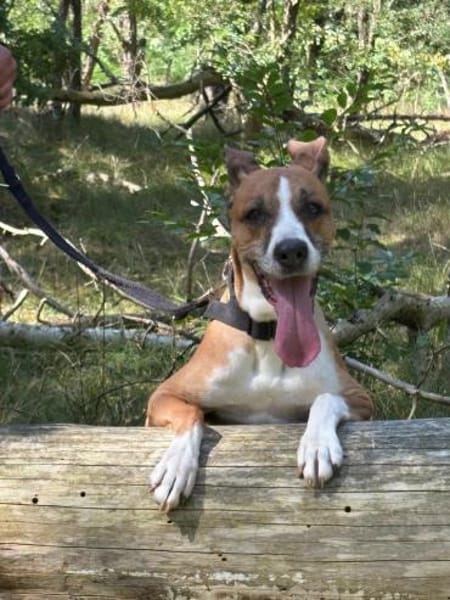 Süsse Rina -  sportlich und sensibel