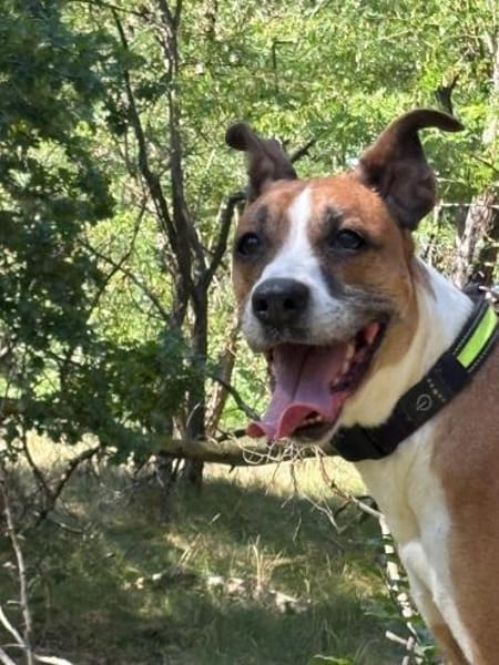 Süsse Rina -  sportlich und sensibel