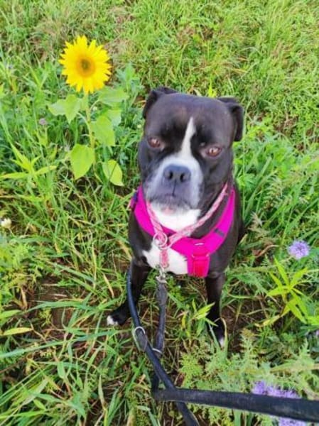 Kuschelmaus Elli wartet