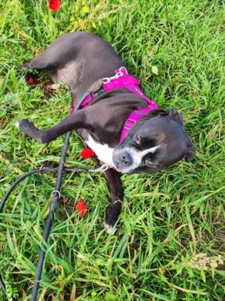 Kuschelmaus Elli wartet