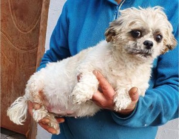 Diana°  in 66740 Saarlouis