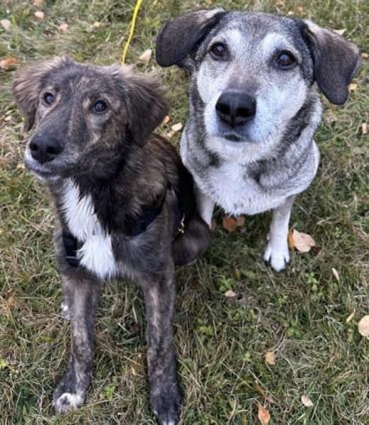 Kaya, geb. 05/2025, 95168 Marktleuthen