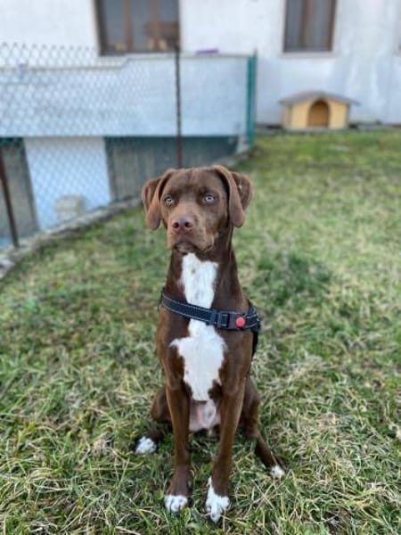 Teo 💙💙💙 lieber Bub auf Kuschelkurs