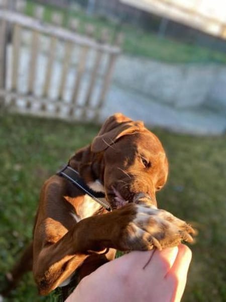 Teo 💙💙💙 lieber Bub auf Kuschelkurs