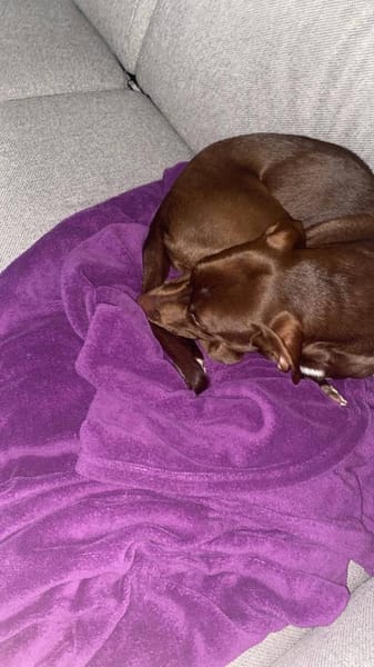 Teo 💙💙💙 lieber Bub auf Kuschelkurs