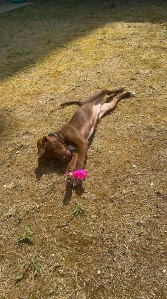 Teo 💙💙💙 lieber Bub auf Kuschelkurs