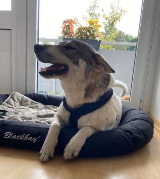 FENJA möchte endlich ankommen