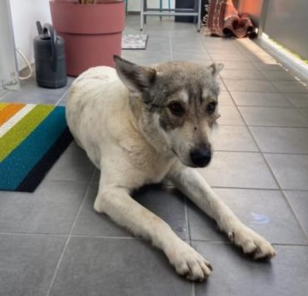 FENJA möchte endlich ankommen