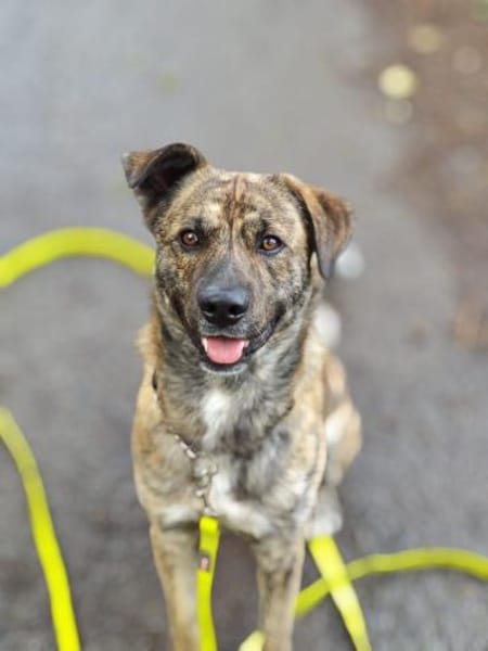 GARDI-BUDDY - zurück ins Leben