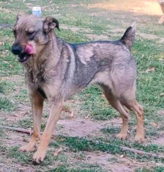 POESIE sucht das Glück