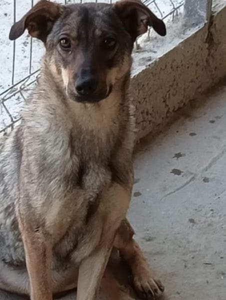 POESIE sucht das Glück