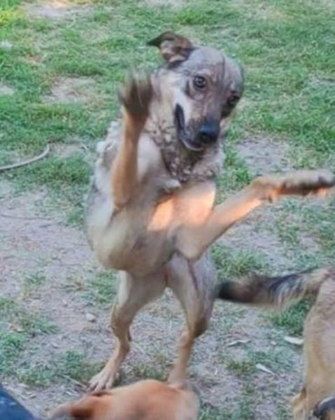 POESIE sucht das Glück