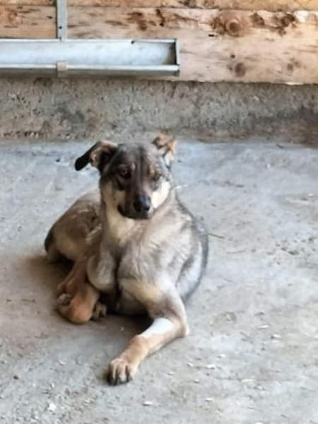 POESIE sucht das Glück